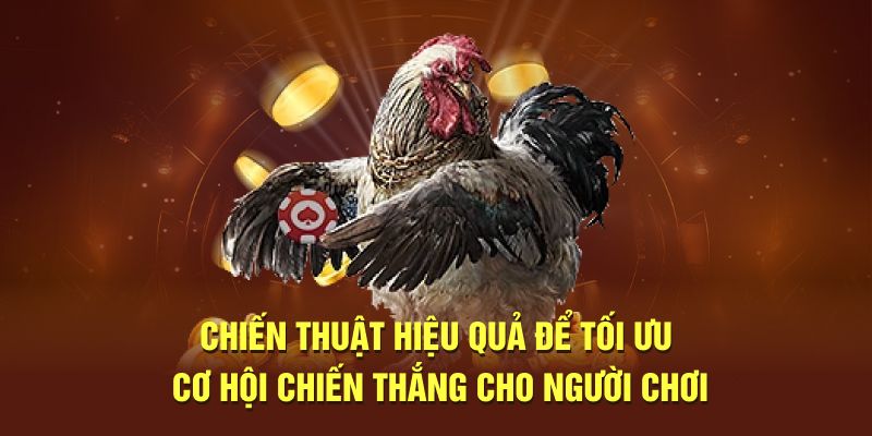 Chiến thuật hiệu quả để tối ưu cơ hội thắng cho người chơi