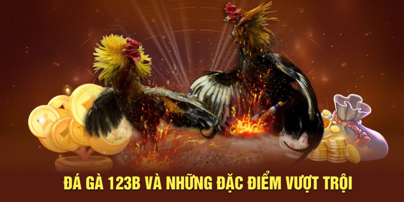 Đá gà 123b và những đặc điểm vượt trội