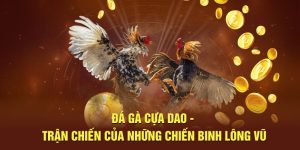 Đá Gà Cựa Dao - Trận Đấu Của Những Chiến kê