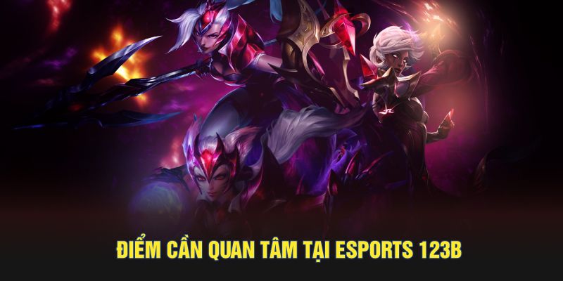 Điểm cần quan tâm tại Esports 123B