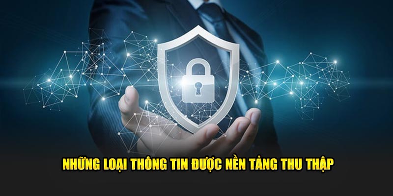 Những loại thông tin được nền tảng thu thập