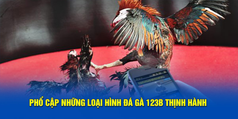 Phổ cập những loại hình đá gà 123B thịnh hành