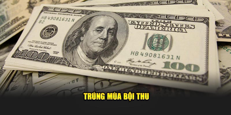 Trúng mùa bội thu