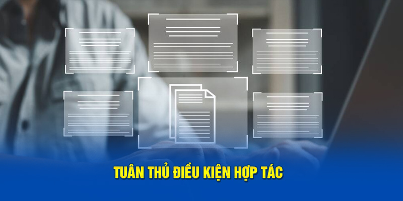 Tuân thủ điều kiện hợp tác